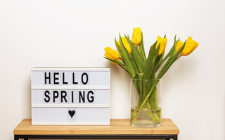 From Winter Blues to Spring Hues: A Guide to Personalized Home Decor for the Season