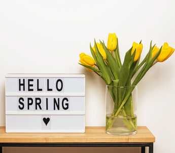 From Winter Blues to Spring Hues: A Guide to Personalized Home Decor for the Season