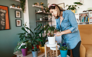 Eco-Friendly Home Decor Tips for Earth Day and Beyond