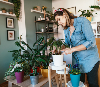 Eco-Friendly Home Decor Tips for Earth Day and Beyond