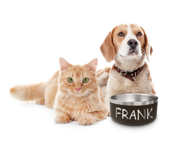 The Wooferct Feast: How Personalized Dog Bowls Enhance Mealtime