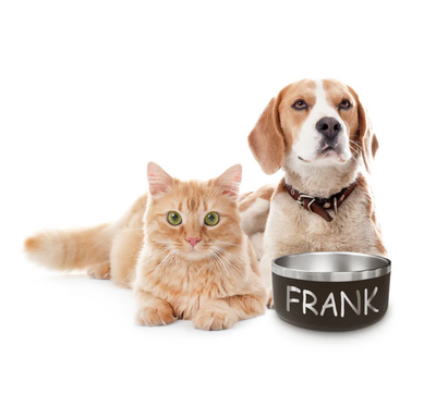 The Wooferct Feast: How Personalized Dog Bowls Enhance Mealtime