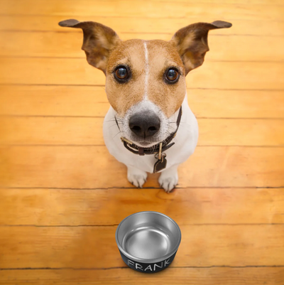 The Evolution of Personalized Pet Bowls