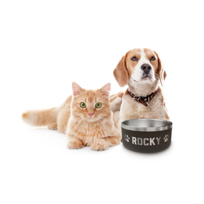 Personalized Pet Bowl for Dogs and Cats